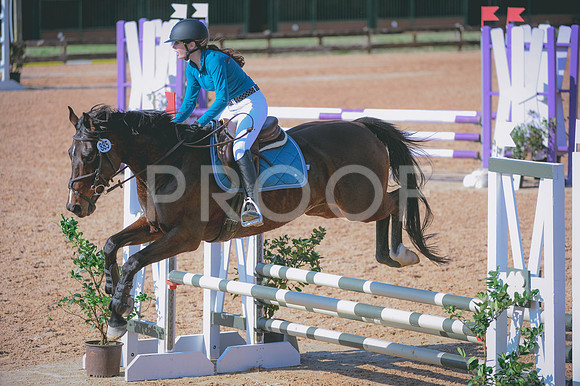 JJS_8979