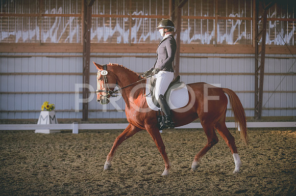 JJS_0661