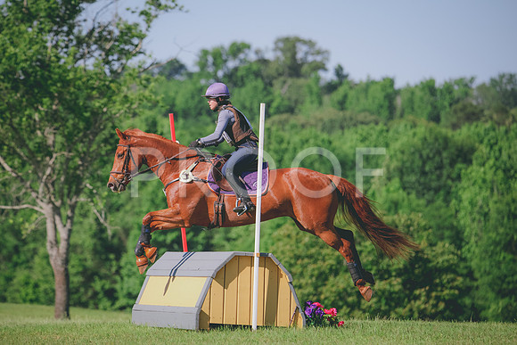 RWP_3372