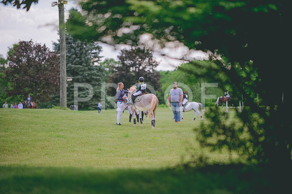 JJS_1297