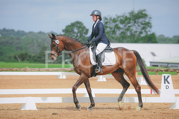 RWP_4219