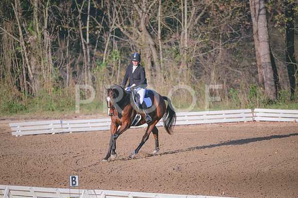 JJS_3471