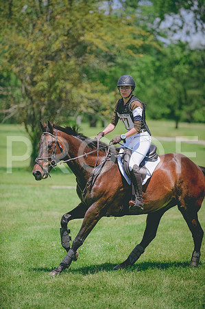 JJS_8441