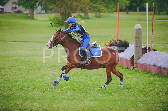 JJS_1491