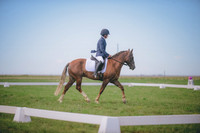 JJS_1311