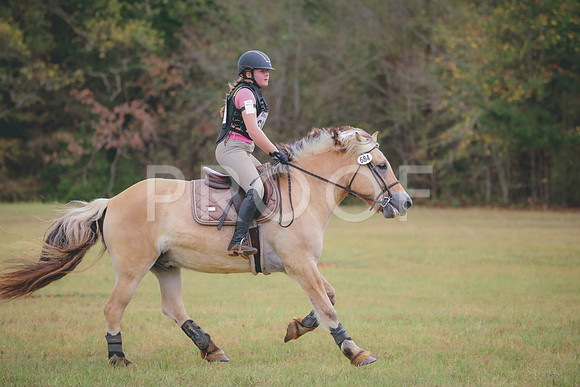 RWP_3580