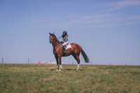 MLP_2419