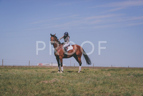 MLP_2419