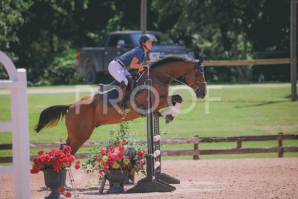 RWP_5234