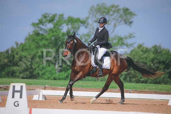RWP_4041