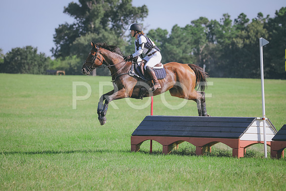 RWP_6234