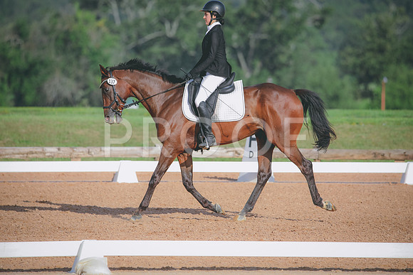 RWP_4491