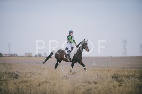 JJS_4190
