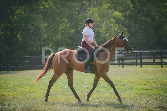 JJS_3556