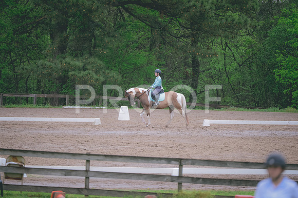 JJS_2908
