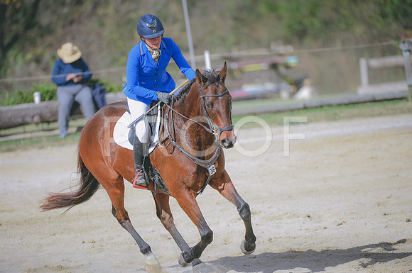 JJS_1746