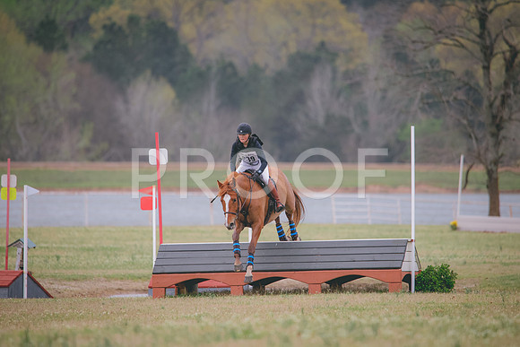 RWP_8818