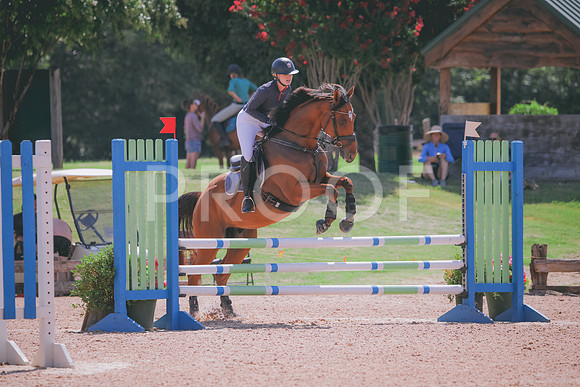 RWP_5201
