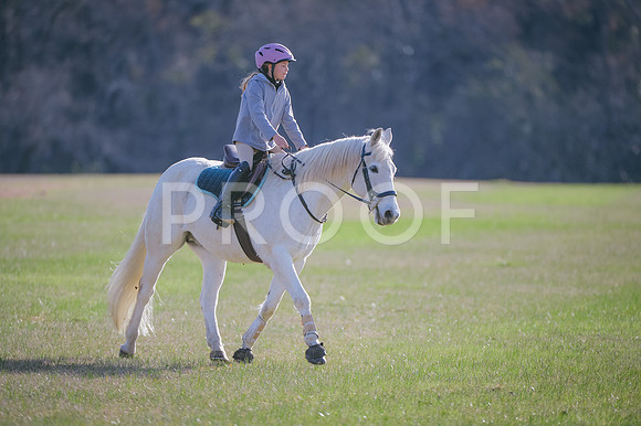 JJS_2468