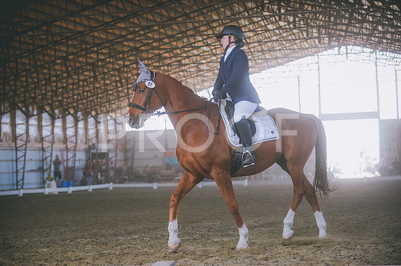 JJS_8553