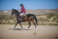JJS_5555