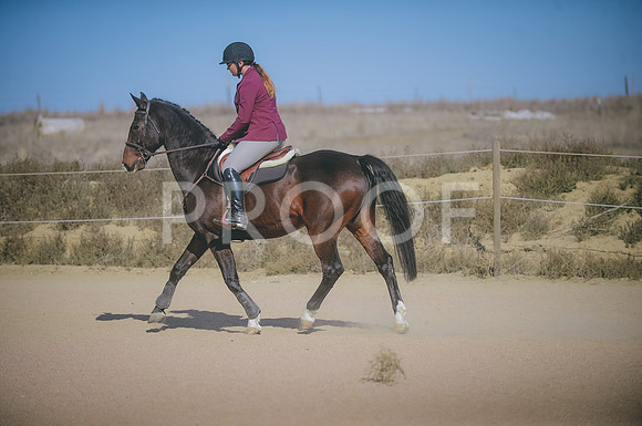 JJS_5555