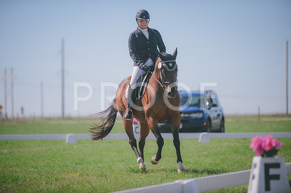 JJS_2419
