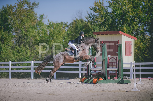 JJS_3156