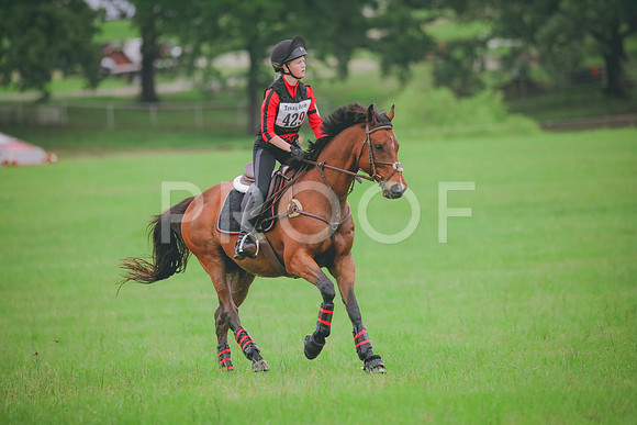 RWP_5522