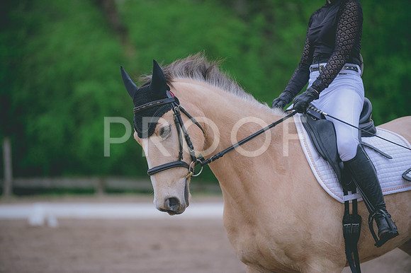 JJS_5475