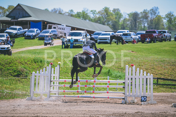 MEL_0919
