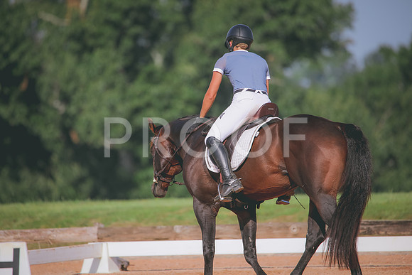 RWP_4617
