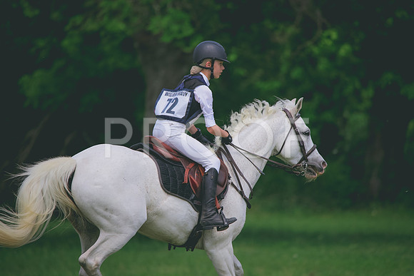 RWP_4176