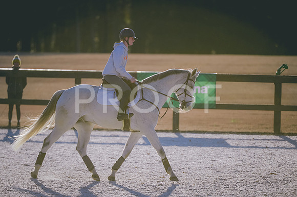 JJS_1691
