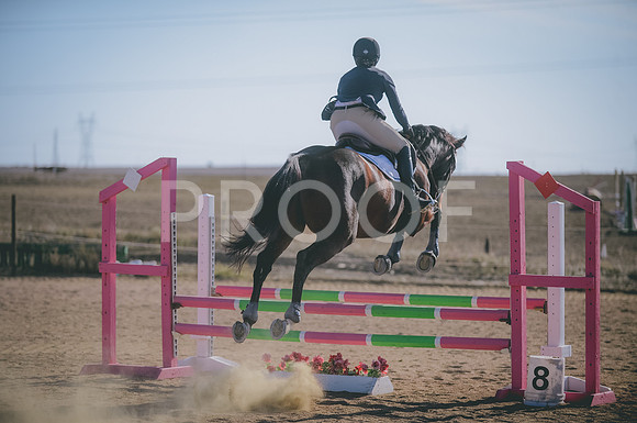JJS_0635