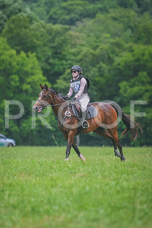 DSC_3175