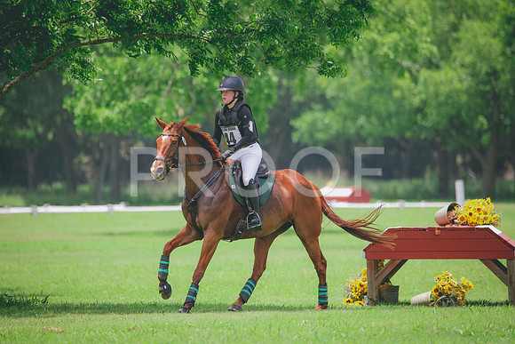 RWP_2987