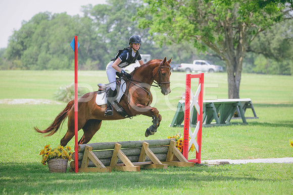 RWP_4260