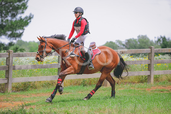 RWP_4631