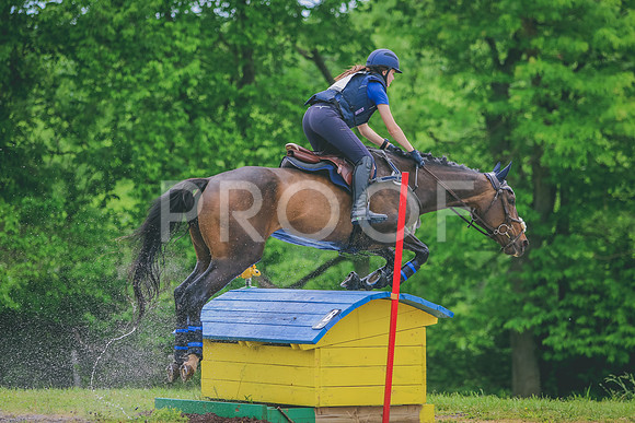 281A2781 copy