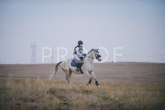 JJS_4422