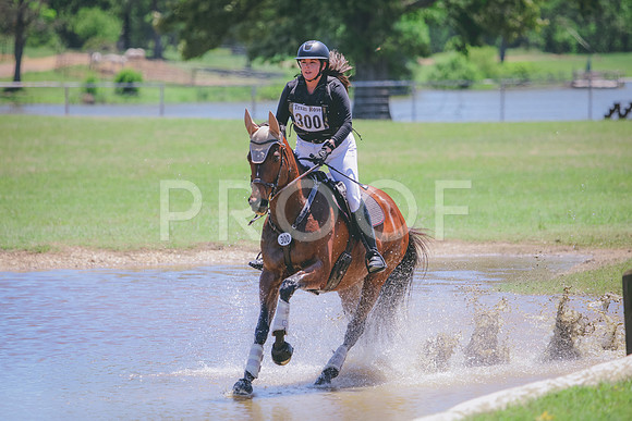 RWP_0817