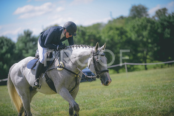 JJS_2972