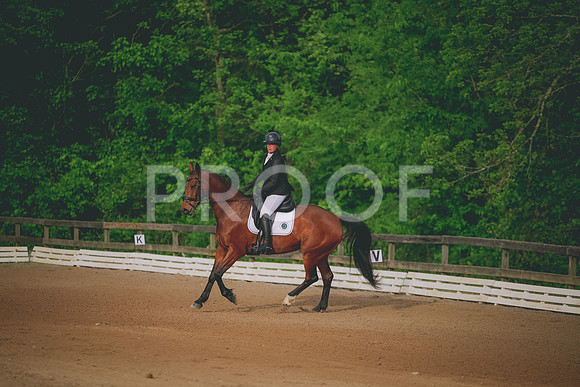 2E8A7652