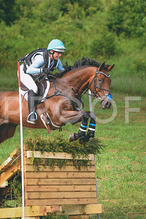DSC_8334
