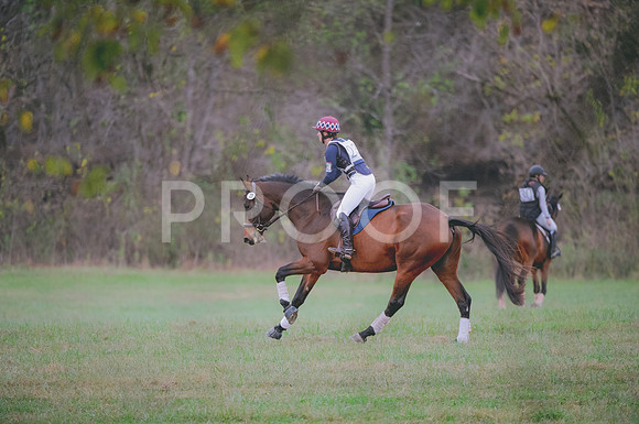 JJS_0178A
