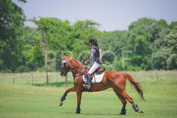 RWP_2897