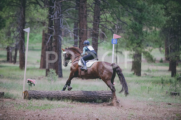 JJS_8159