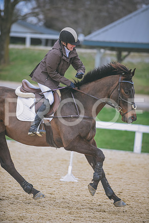 DSC_0428 copy
