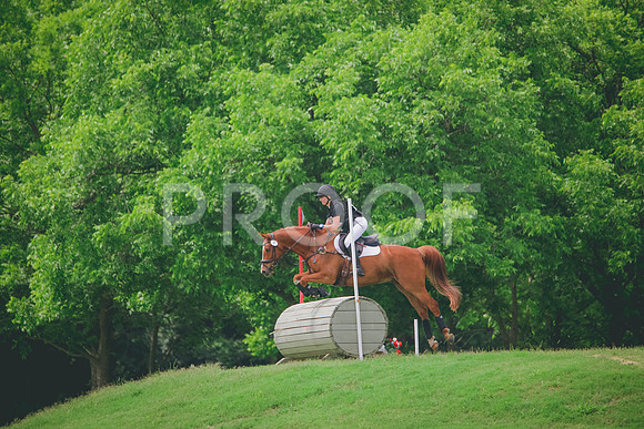 RWP_0390